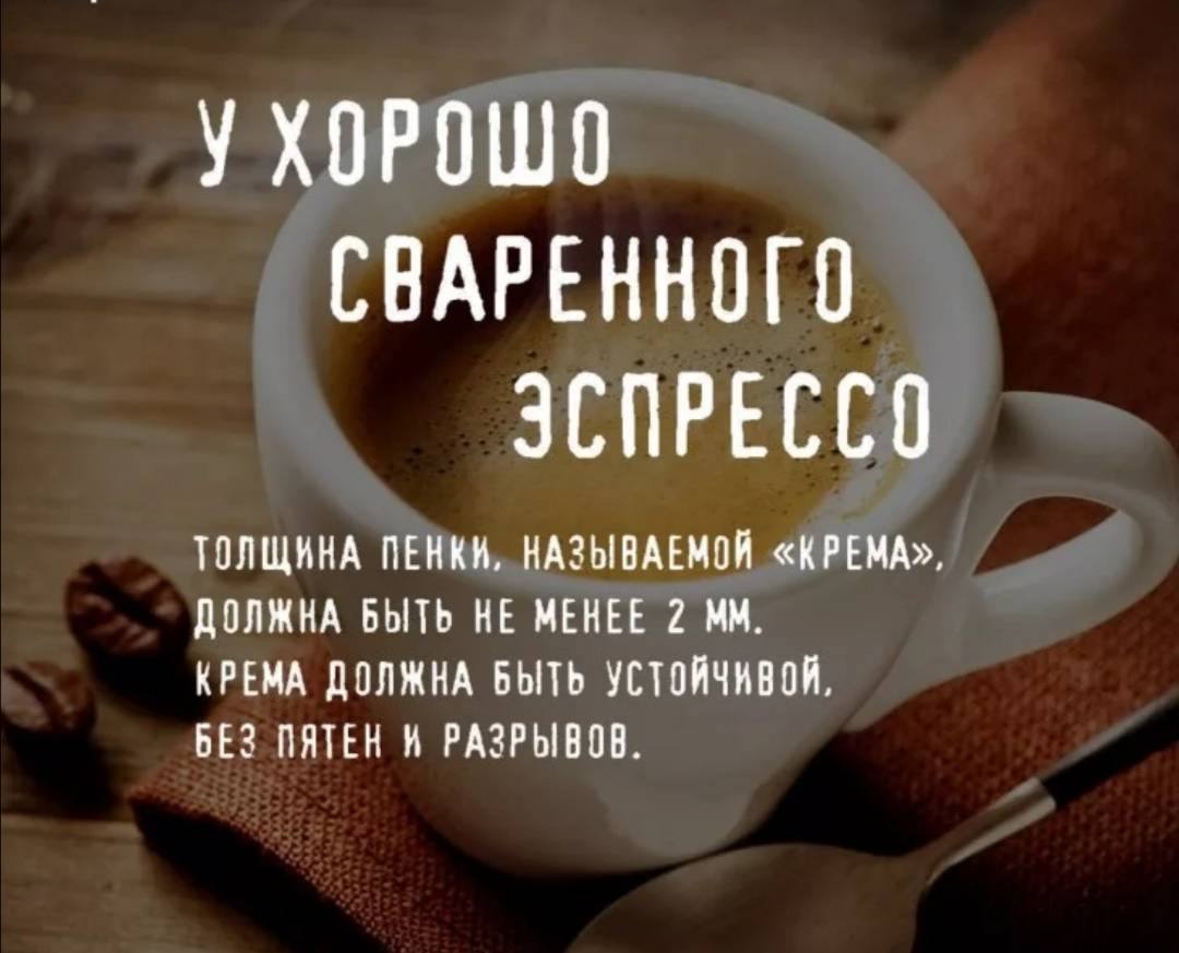 Цитаты про доброе утро смешные