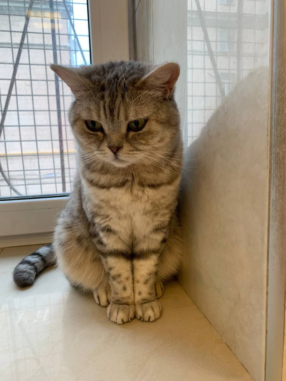 Публикация #798 — Зоопсихолог Светлана Капустина (@zoopsicholog)