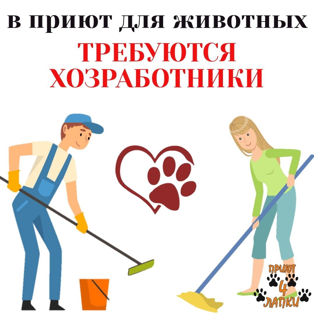 Донецкий приют 🐾 4 лапки 🐾