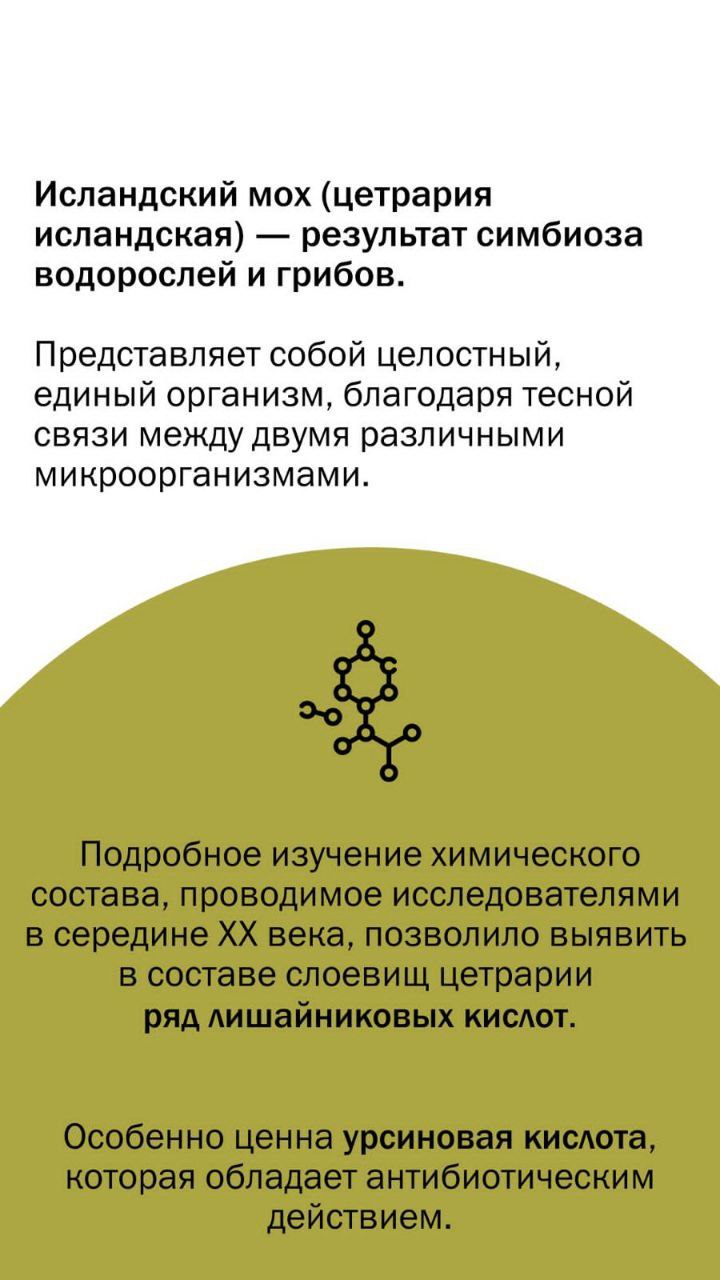 Telegram-канал "VITAUCT ☘️ Натуральная продукция для здоровья и ...