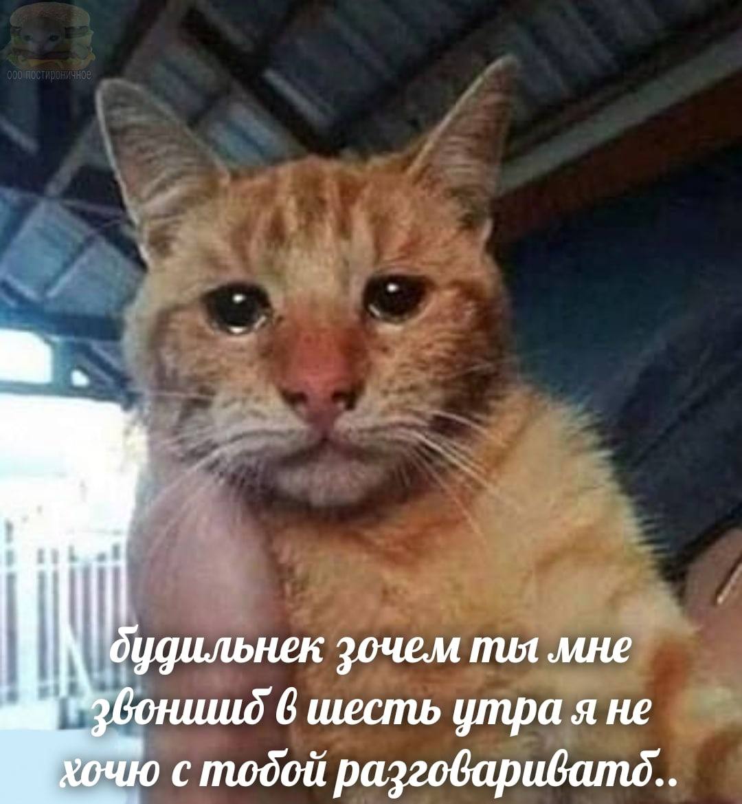 Фото И Расскажи О Них