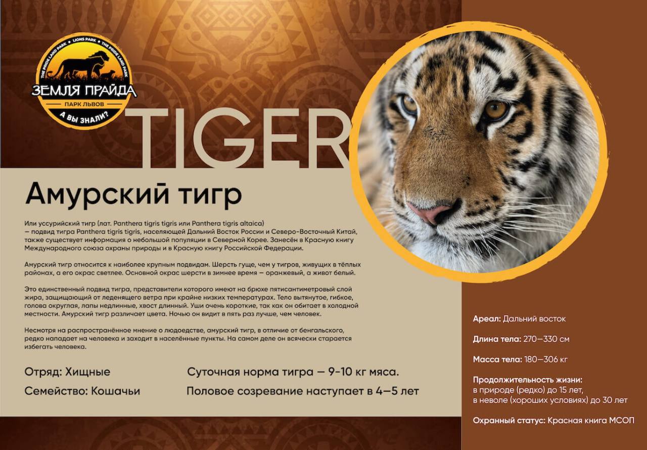 Земля прайда парк подмосковье. Земля прайда как добраться. Земля прайда как добраться. Земля прайда как добраться. Земля прайда как добраться.