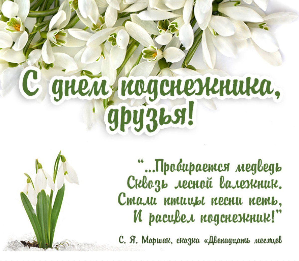 Открытка с подснежниками