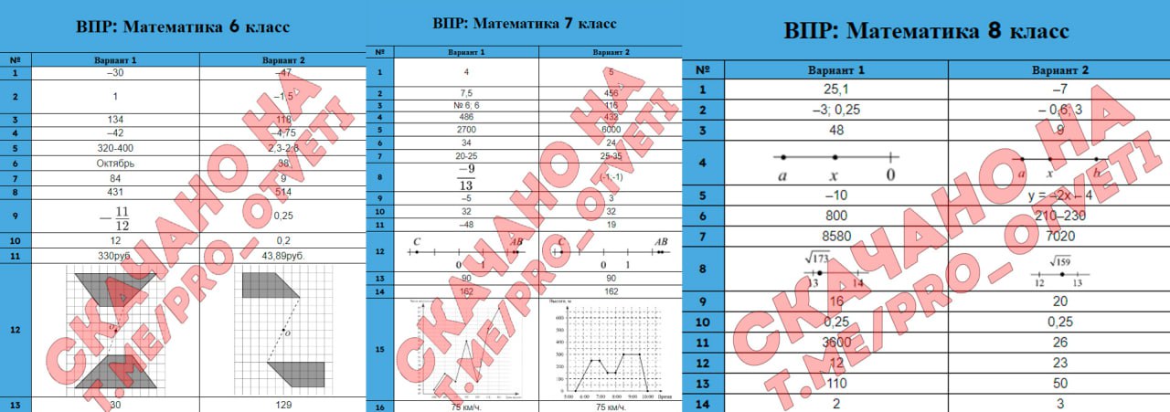 Решу впр 2024 русский язык 8 класс