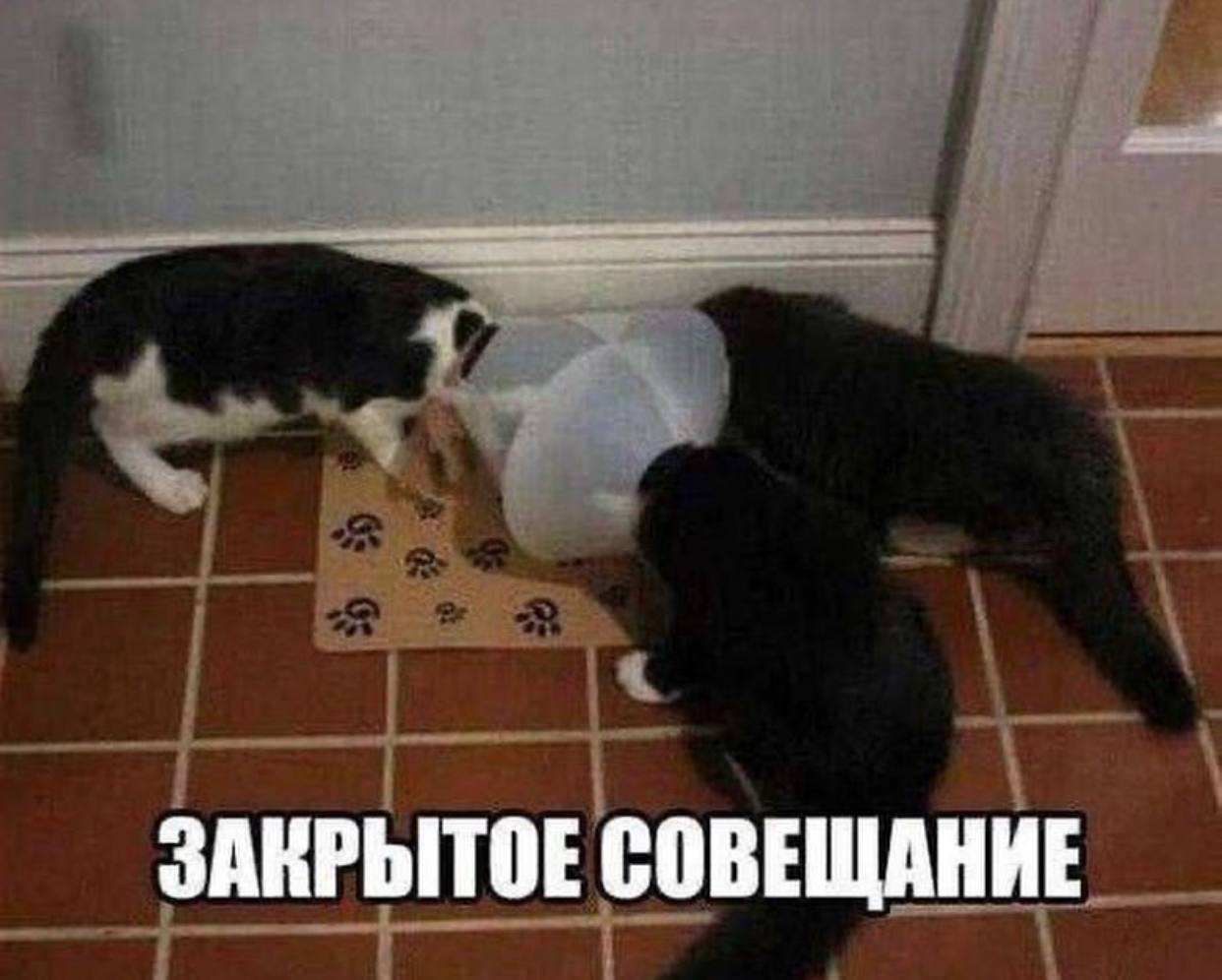 Картинка собери совещание