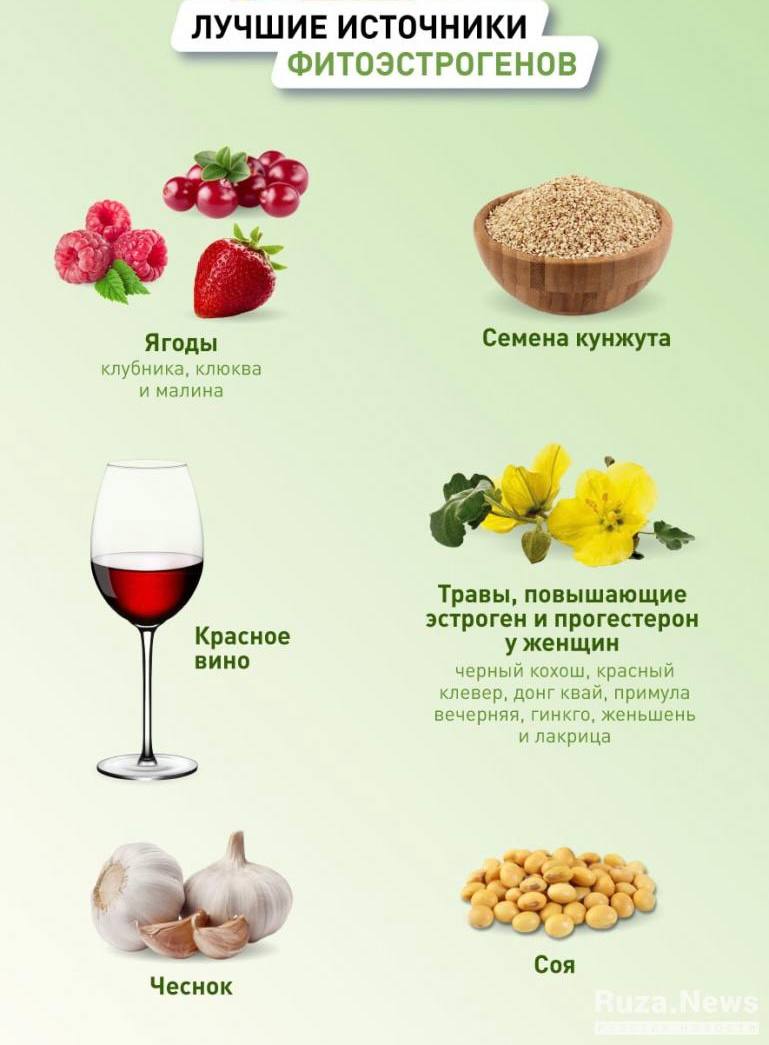 Продукты с фитоэстрогенами для женщин таблица