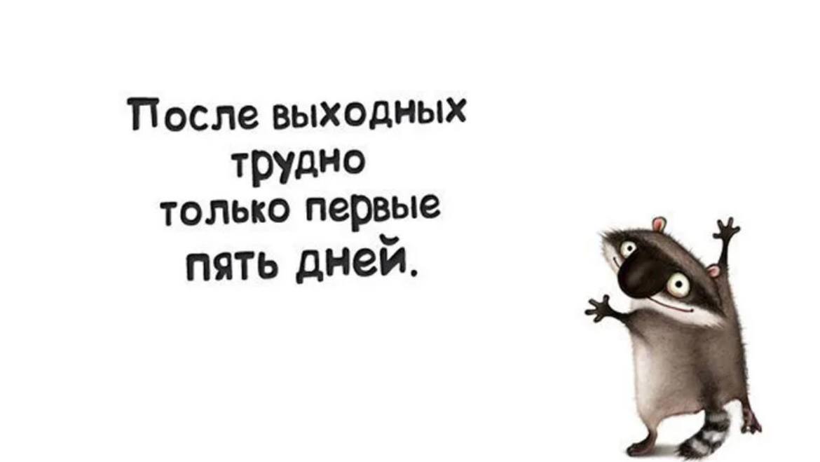 День будет непростым и. Цитаты про выходные. Смешные фразы про выходные. Юмористические высказывания про выходные. После выходных.