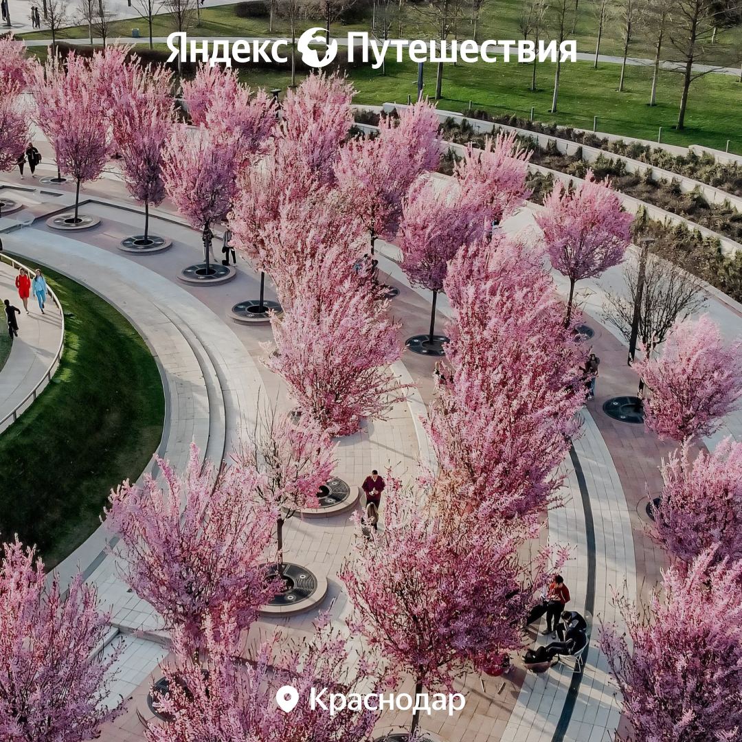 Telegram-канал "Яндекс Путешествия" — @yandex_travel — TGStat