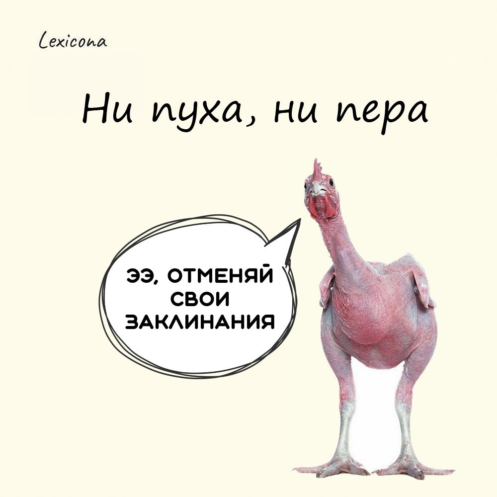 Ни пуха ни пера картинки красивые
