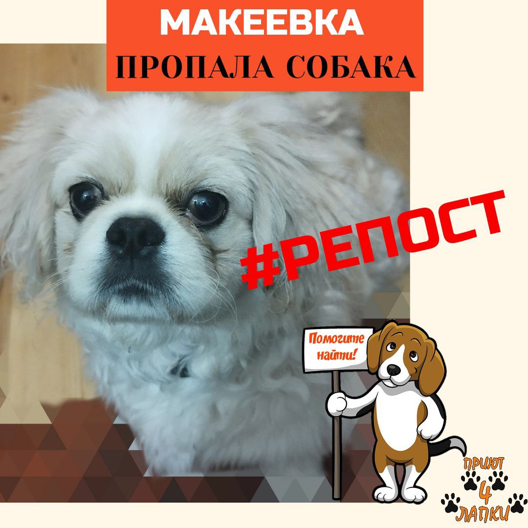Донецкий приют 🐾 4 лапки 🐾