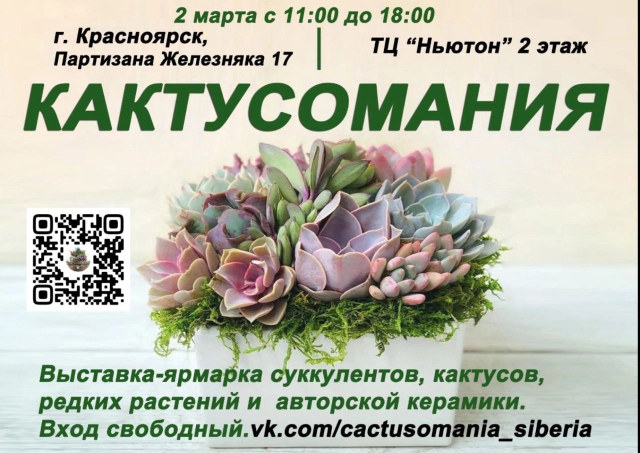 1 июня красноярск мероприятия