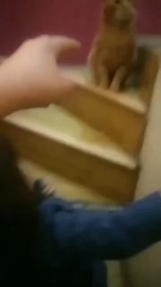 Efuq
